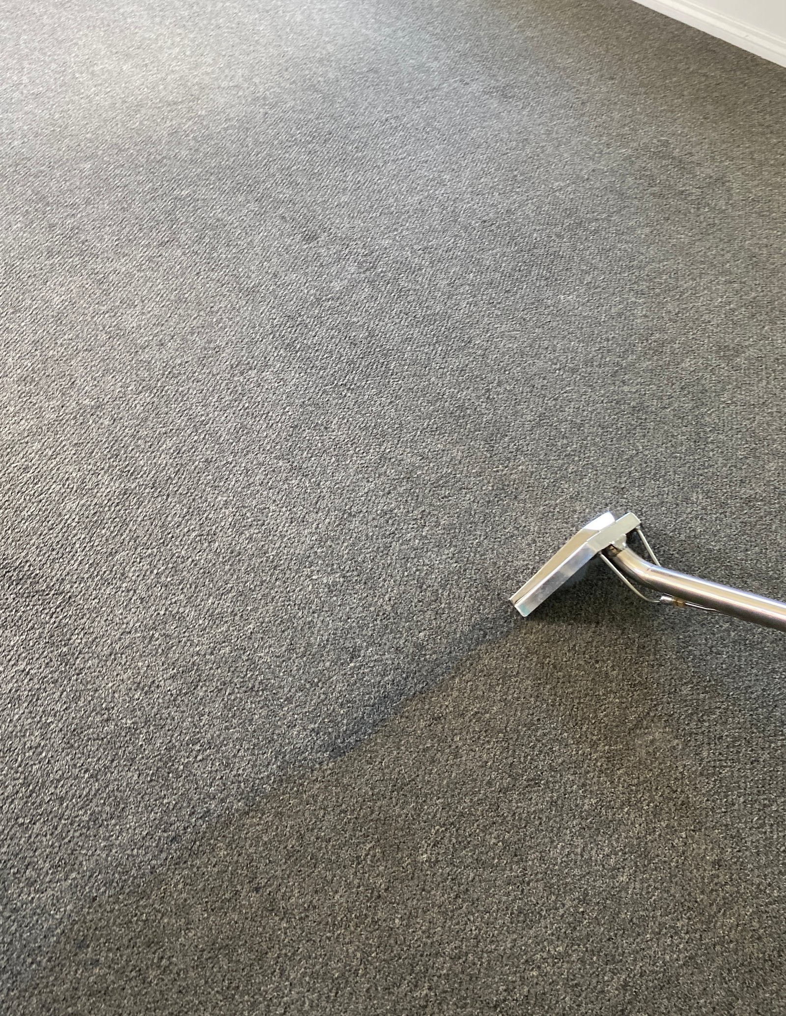 Carpet after professional steam cleaning — fresh and restored