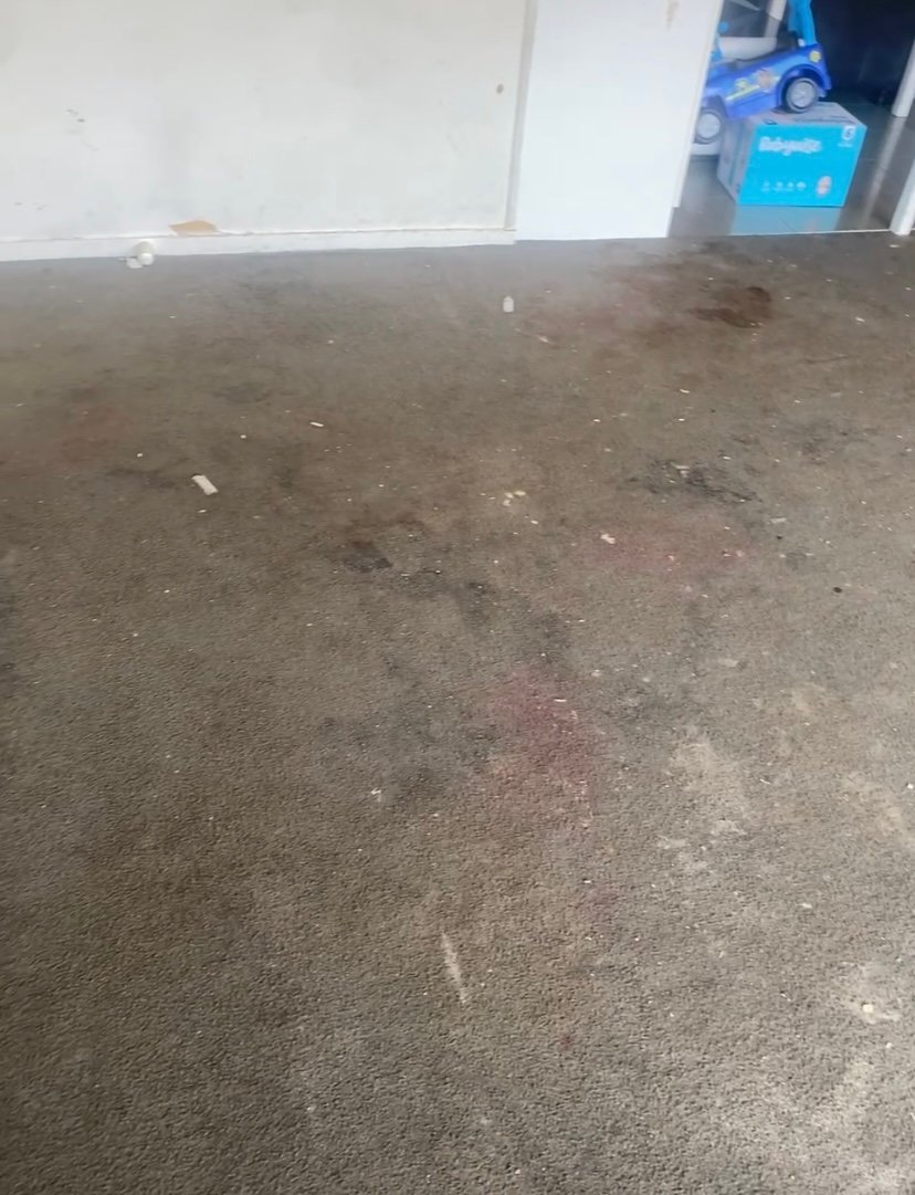 Carpet before cleaning — heavy staining and soiling across entire room