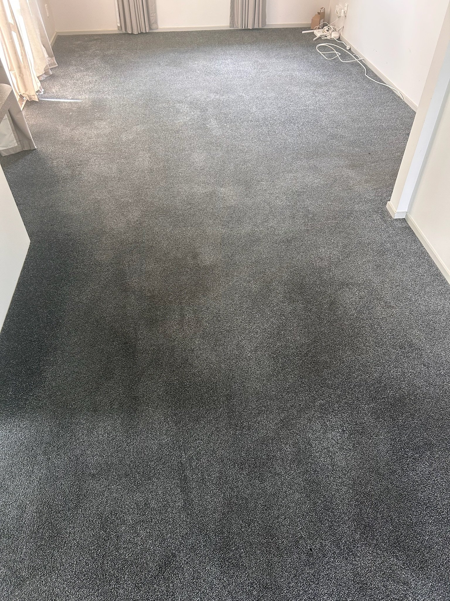 Bedroom carpet before cleaning — visible traffic lanes and soiling